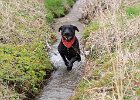 IMG 4630