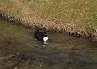 IMG 2581