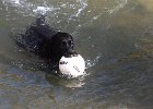 IMG 2584
