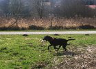 IMG 2585